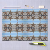 シュガースターフィッシュオンビーチティッシュペーパー 薄葉紙 (クラフト)