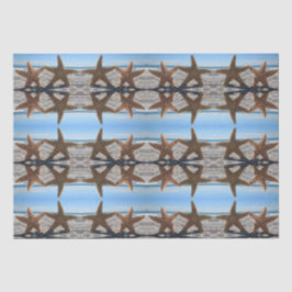 シュガースターフィッシュオンビーチティッシュペーパー 薄葉紙