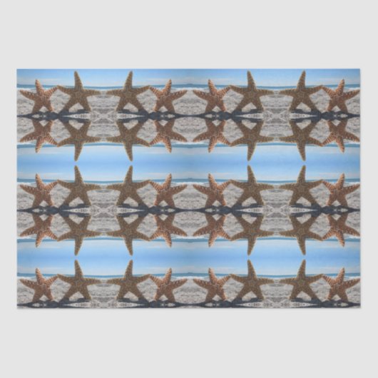 シュガースターフィッシュオンビーチティッシュペーパー 薄葉紙 (正面)