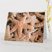 シュガースターフィッシュビッググリーティングカード カード (黄色い花)