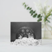 シュガードーナツ ポストカード (スタンド正面)