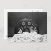 シュガードーナツ ポストカード (正面/裏面)