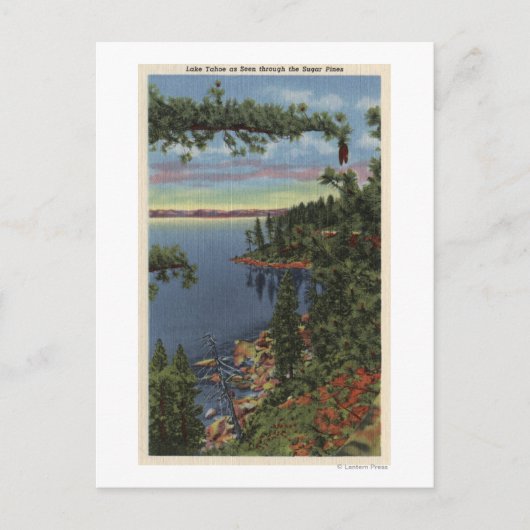 シュガーパインズ湖の景色 ポストカード (正面)