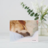 シュガーブーガー ポストカード (スタンド正面)