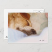 シュガーブーガー ポストカード (正面/裏面)