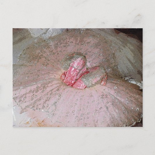 シュガープラム ポストカード (正面)