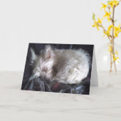 シュガーベアースリーピンググリーティングカード カード (黄色い花)