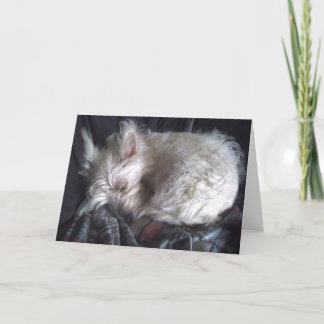 シュガーベアースリーピンググリーティングカード カード