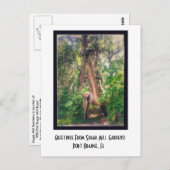 シュガーミルガーデンハガキからの挨拶 ポストカード (正面/裏面)