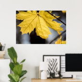 シュガーメープル、秋 ポスター (ホームオフィス)