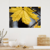 シュガーメープル、秋 ポスター (キッチン)