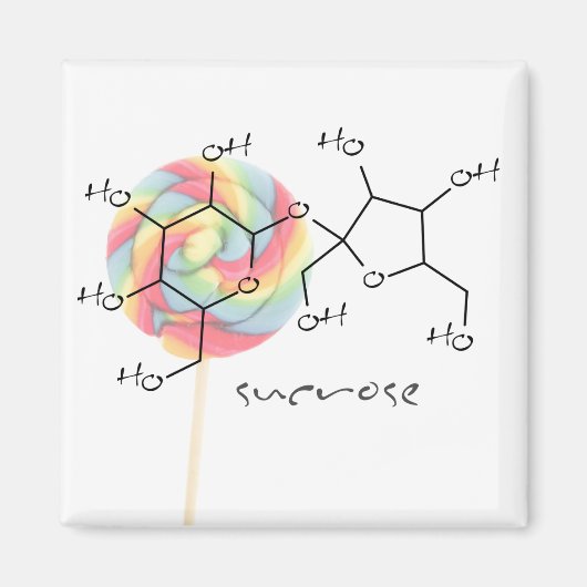 シュガーラッシュ マグネット (正面)