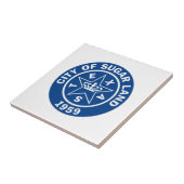 シュガーランドの封印(テキサス州) タイル (側面)