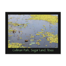 シュガーランド，テキサス州