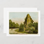 シュガーローフロックマッキナックアイランドミシガン ポストカード (正面/裏面)