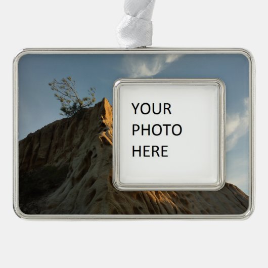 シュクラッグラートリーパインatサンセットカリフォルニアコースト シルバープレートフレームオーナメント (正面)