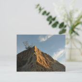 シュクラッグラートリーパインatサンセットカリフォルニアコースト ポストカード (スタンド正面)