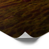 シュス威厳のあるクラッフとウェッターホルンのピーク。 ポスター (角)