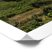 シュゼット(フランス) ポスター (角)