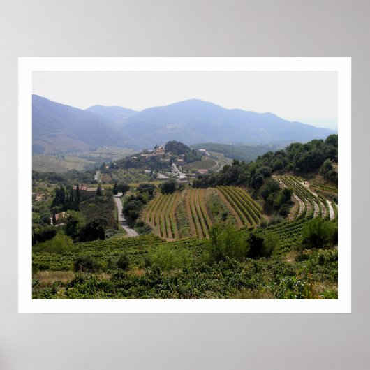 シュゼット(フランス) ポスター (正面)