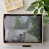 シュタイルプチハフリンガー 薄葉紙 (ギフト)