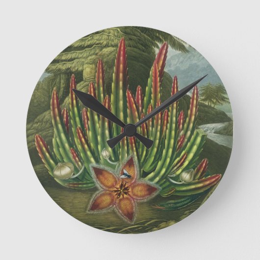 シュタードラーの彫り彫りにしたマゴット入りブドウ園。 ラウンド壁時計 (正面)