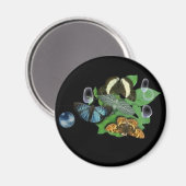 シュテルリンゲ マグネット (正面/裏面)