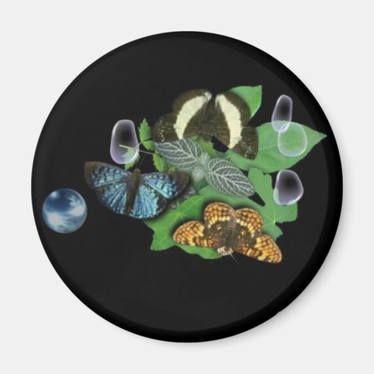 シュテルリンゲ マグネット (正面)