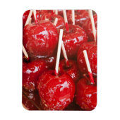 シュトゥットガルト・ビアフェスティバでキャンディでフルーツをコーティング マグネット (縦)