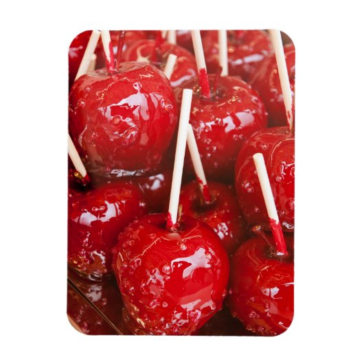 シュトゥットガルト・ビアフェスティバでキャンディでフルーツをコーティング マグネット (縦)