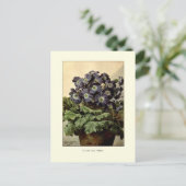 シュトゥトンズブルー ポストカード (スタンド正面)