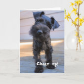 シュナおもしろいーザー誕生日カード カード (黄色い花)