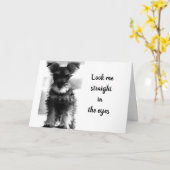 シュナウザーさんは「まだ59」「60番目の誕生日」と言う カード (黄色い花)