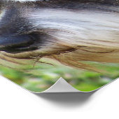 シュナウザーのポスター ポスター (角)