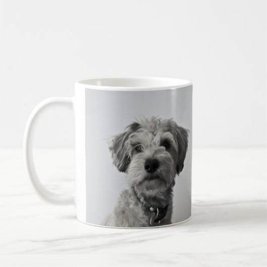 シュナウザーの子犬の肖像写真 コーヒーマグカップ (左)
