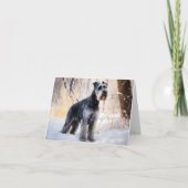 シュナウザーは雪のクリスマスを許す カード (正面)