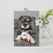 シュナウザーサンキューカード サンキューカード (スタンド正面)