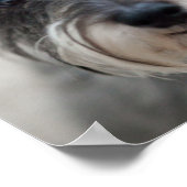 シュナウザードッグポスタープリント ポスター (角)