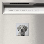 シュナウザーパピーポートレート写真 マグネット (インサイチュ (食洗機))