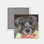 シュナウザーパピー磁石 マグネット (正面/裏面)