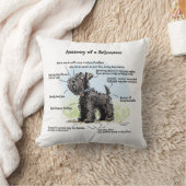 シュナウザーブラックシュナウザーブルーカラーの解剖学 クッション (ブランケット)