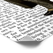 シュナウザー弁護士 ポスター (角)