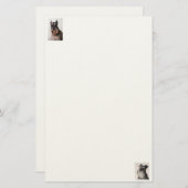 シュナウザー感じ紙固定式 便箋 (正面/裏面)