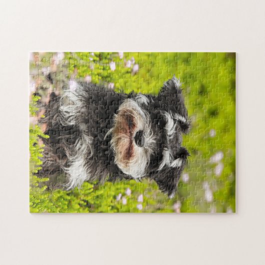 シュナウザー犬のジグサウ。 ジグソーパズル (横)