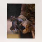 シュナウザー犬のジグサウ。 ジグソーパズル (縦)