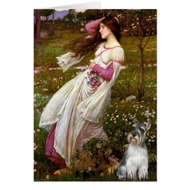 シュナウザー11N – ウィンドフラワー (正面)