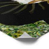 シュナウザー11N – モナリザ ポスター (角)