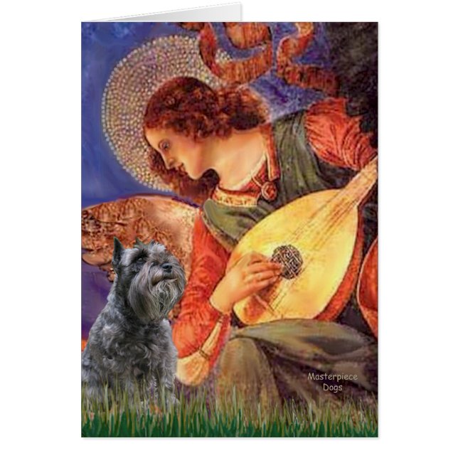 シュナウザー12マンドリンエンジェル (正面)