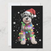 シュナウザー サンタ帽子 クリスマス ライト ホリデー 犬 (正面)