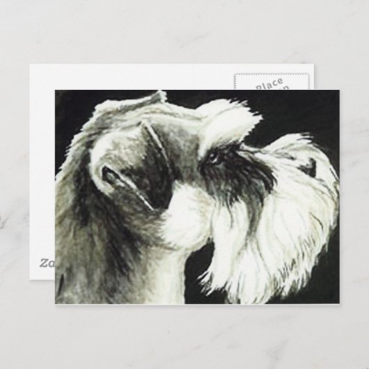 「シュナウザー」ドッグアートはがき ポストカード (正面/裏面)